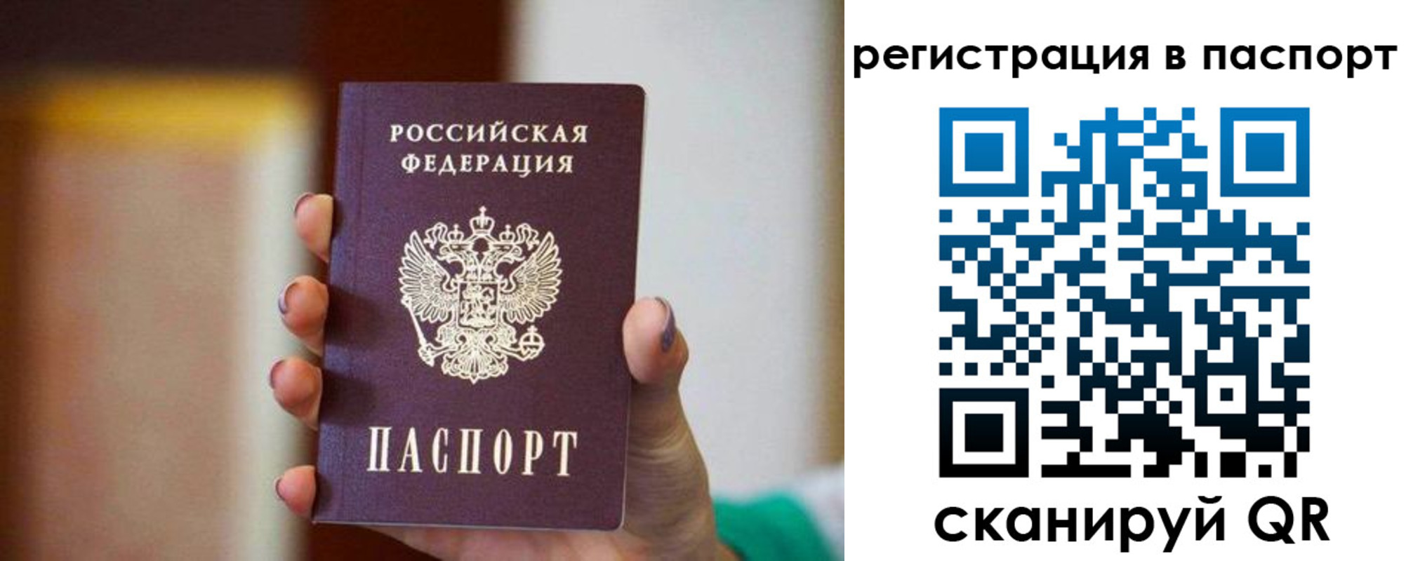 временная регистрация гарантия в Вязьме
