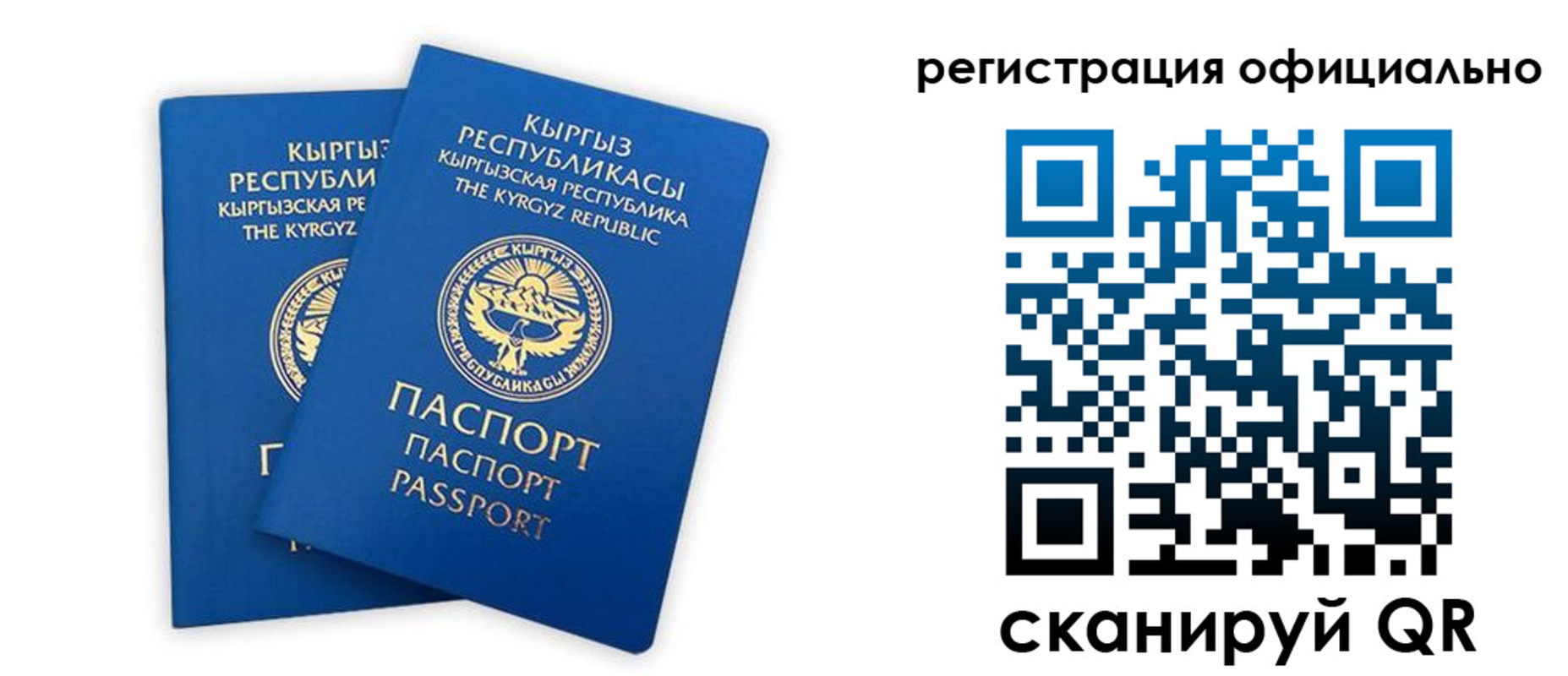 прописка поиск в Вязьме